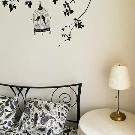 Cosy Downtown Butas *